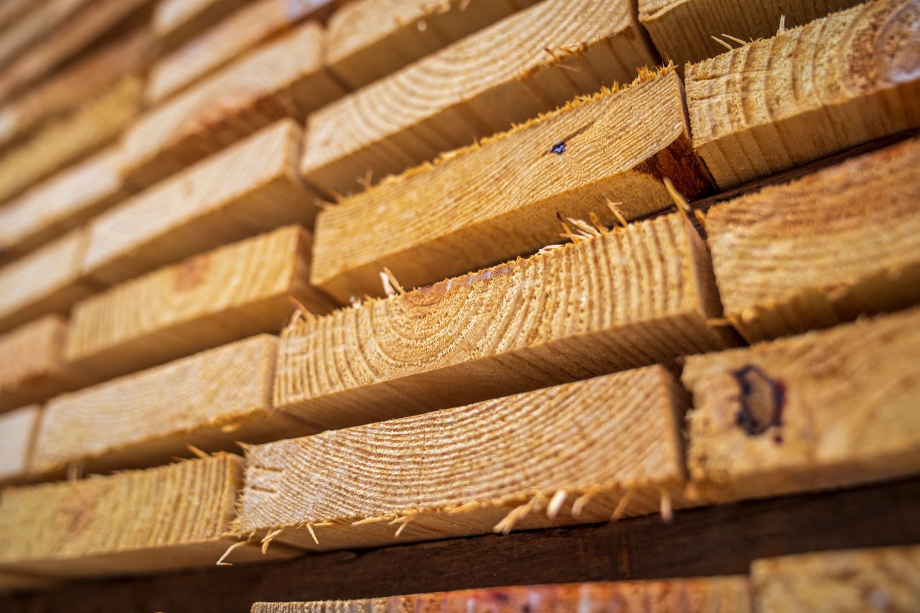 Staplade sågade brädor med synliga årsringar och trästruktur.